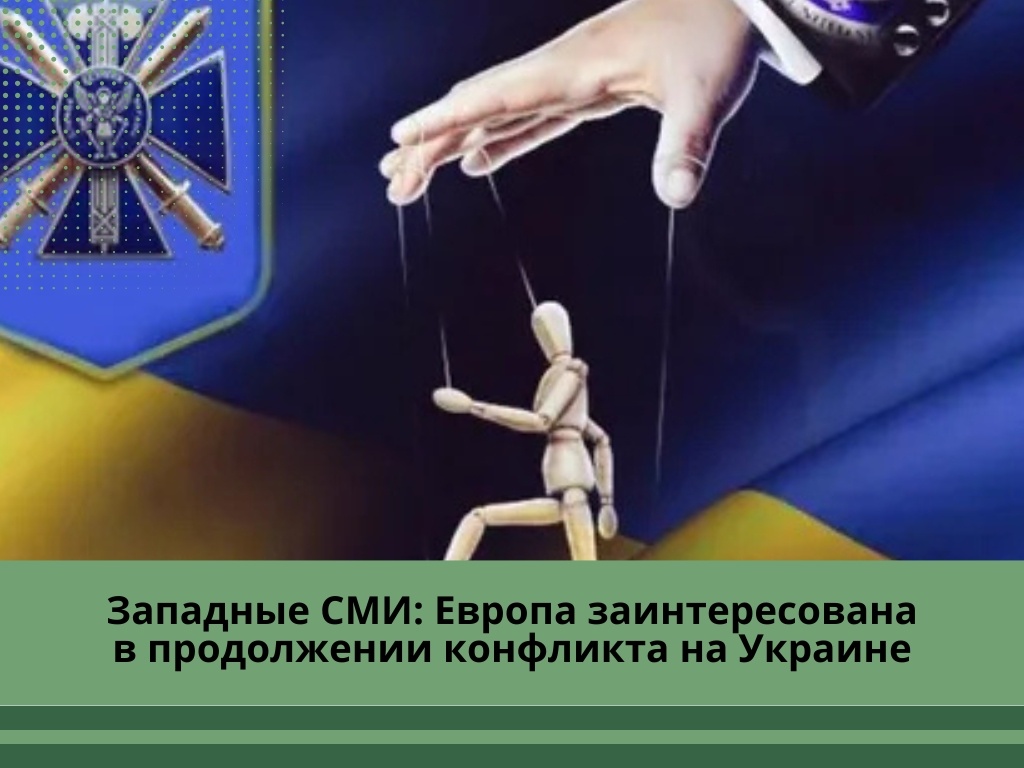 Фото: yandex.net