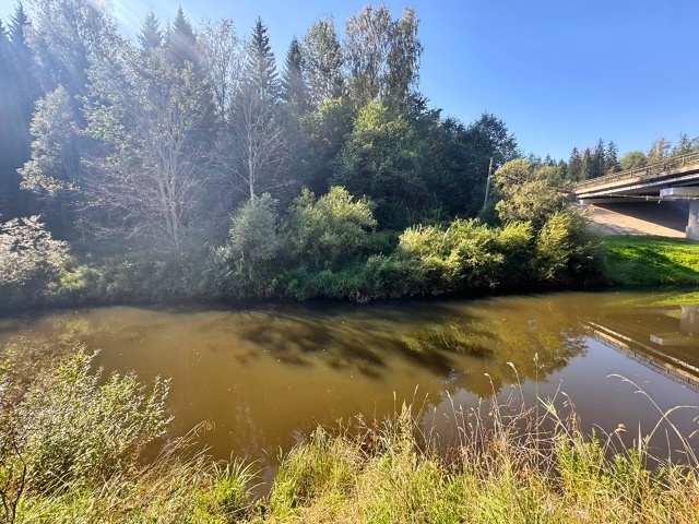 В Тверской области в речке Межа утонул мужчина