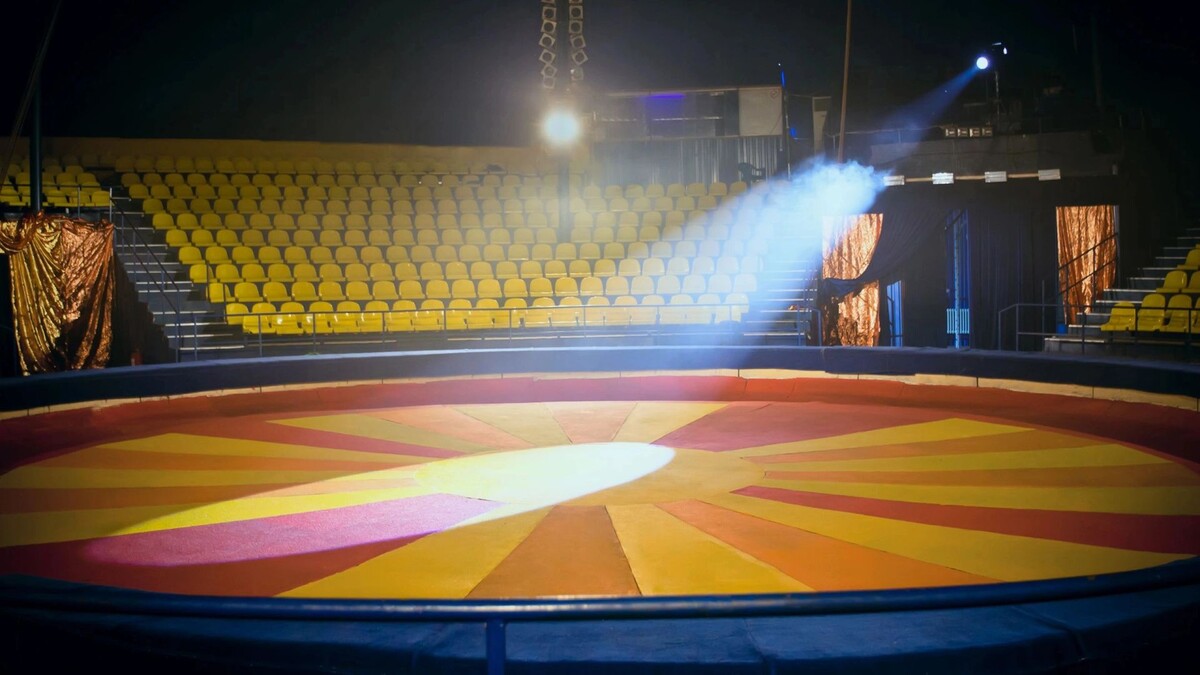    Фото: Tatiana Belova/Shutterstock/Fotodom