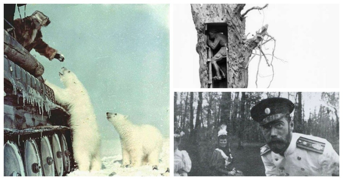 Источник: boredpanda.com