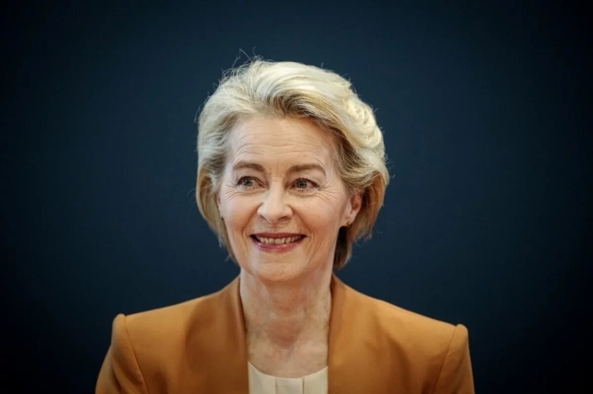    FT: пилотам самолета с главой ЕК пришлось садиться по бумажным картам