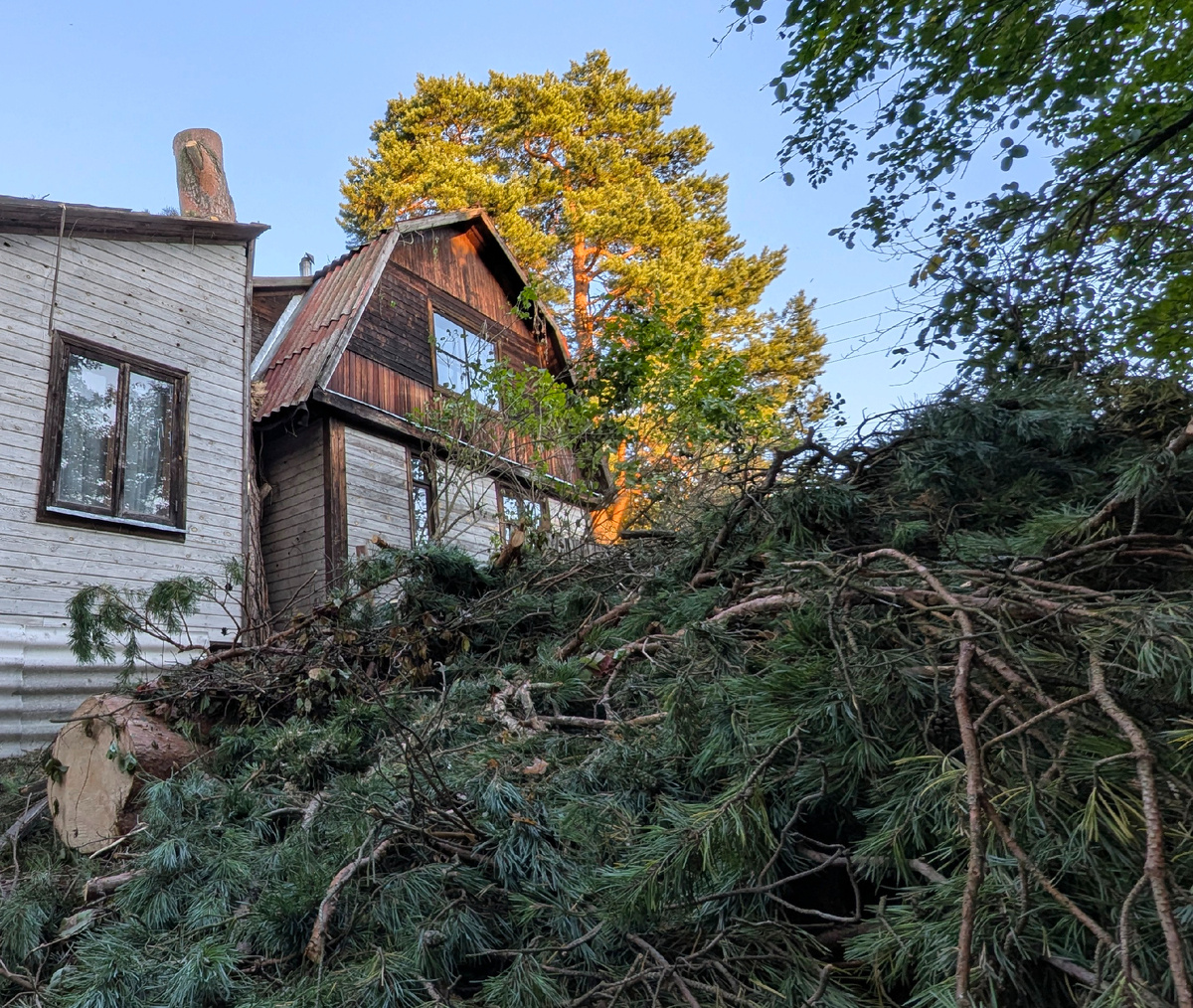 Место разборок))