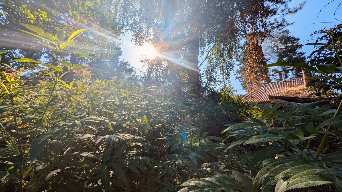 Тёплые лучики солнышка