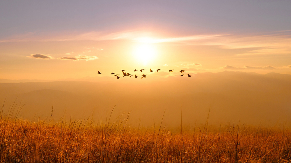     Фото: DreamHomeStudio/Shutterstock/FOTODOM