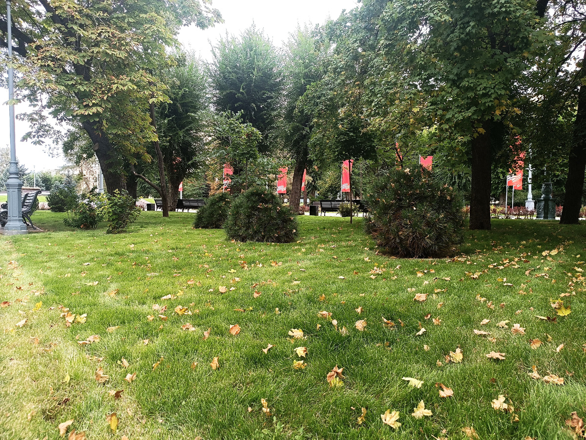 31 августа 2025 г в Волгограде