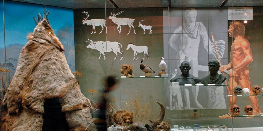    Фото: РИА Новости/Сергей Пятаков