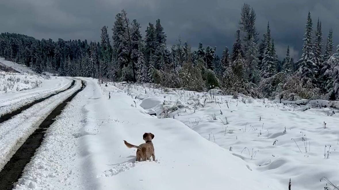 16 сентября прошлого года