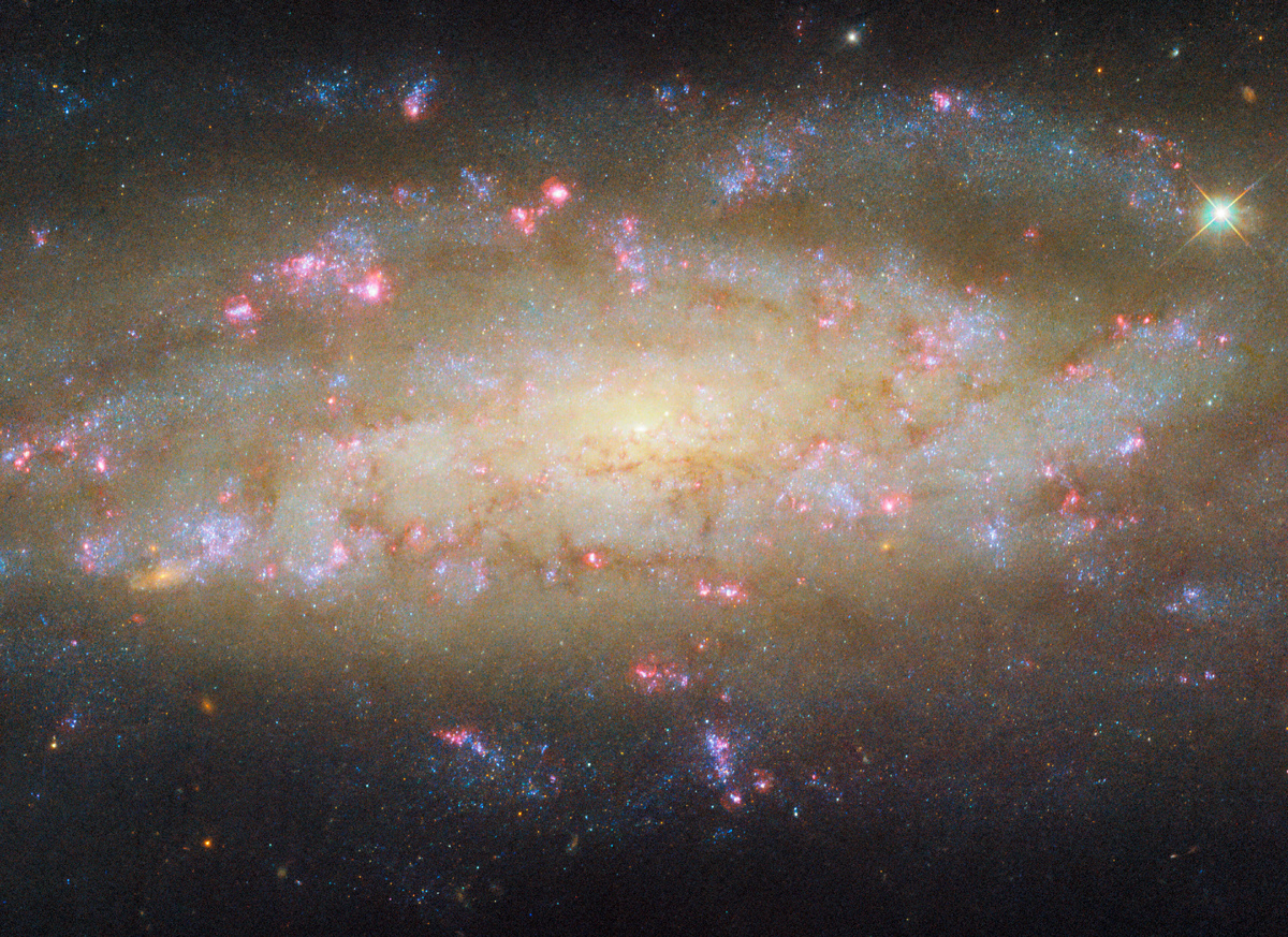 Галактика NGC 7456. Источник: ESA/Hubble & NASA, D. Thilker