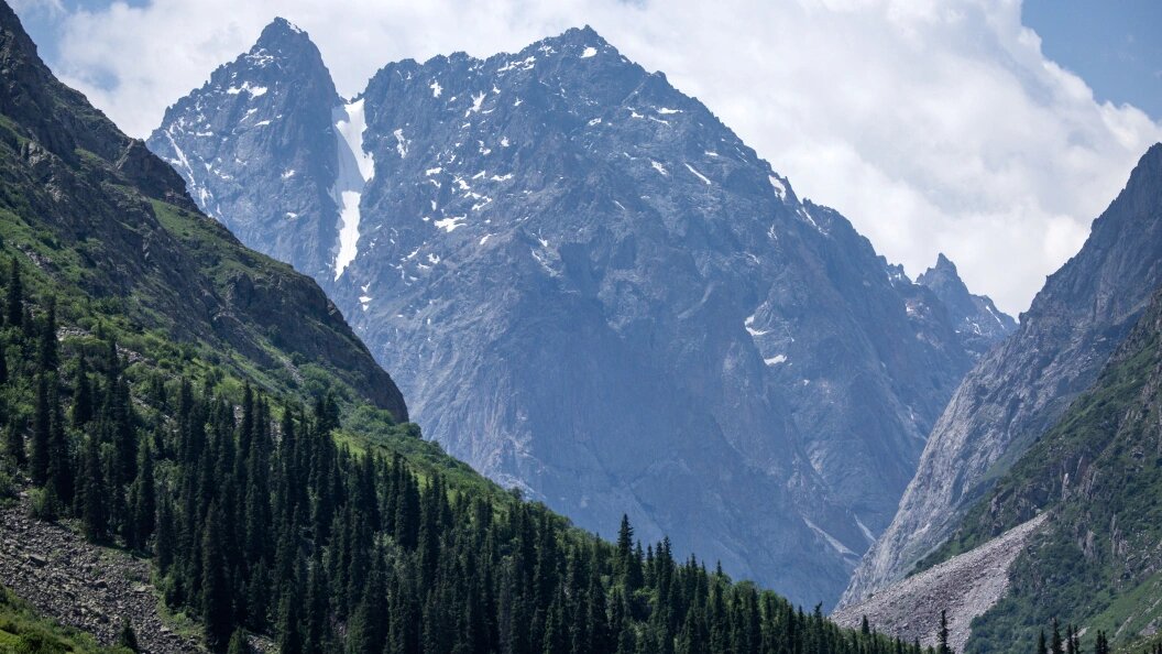    Jens Büttner/dpa/Globallookpress