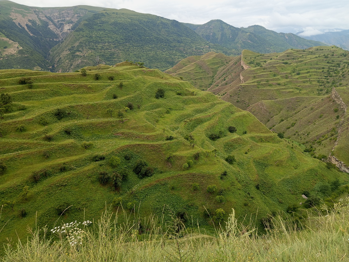 Согласитесь, ландшафт не очень походит на российский 