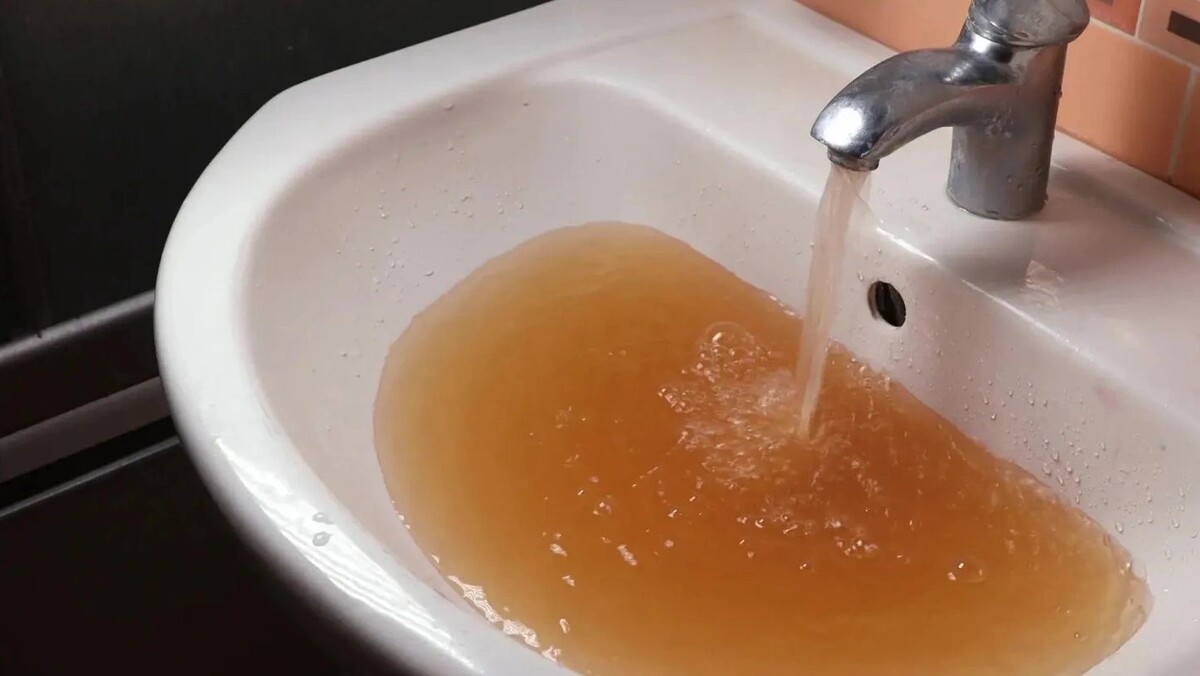    Фото: Grisha Bruev / Shutterstock / Fotodom