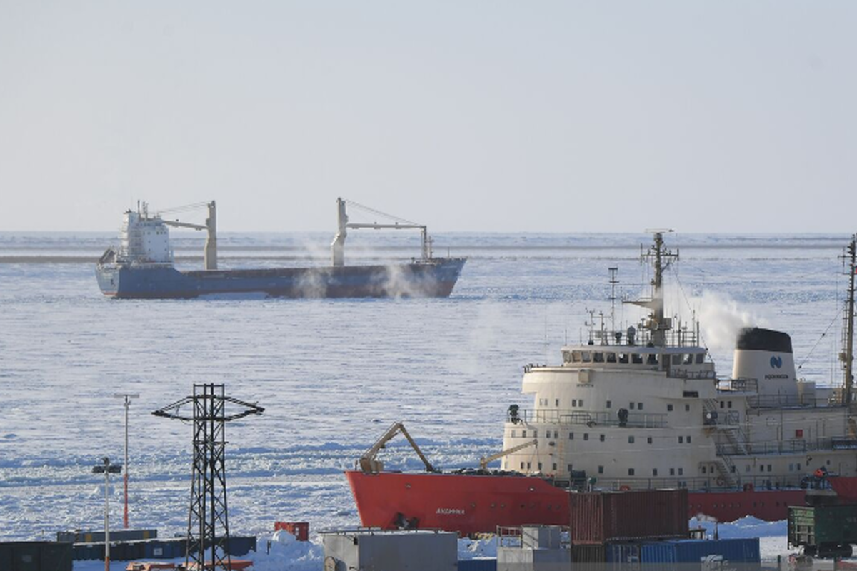    Фото: Светлана Шевченко, источник: ria.ru