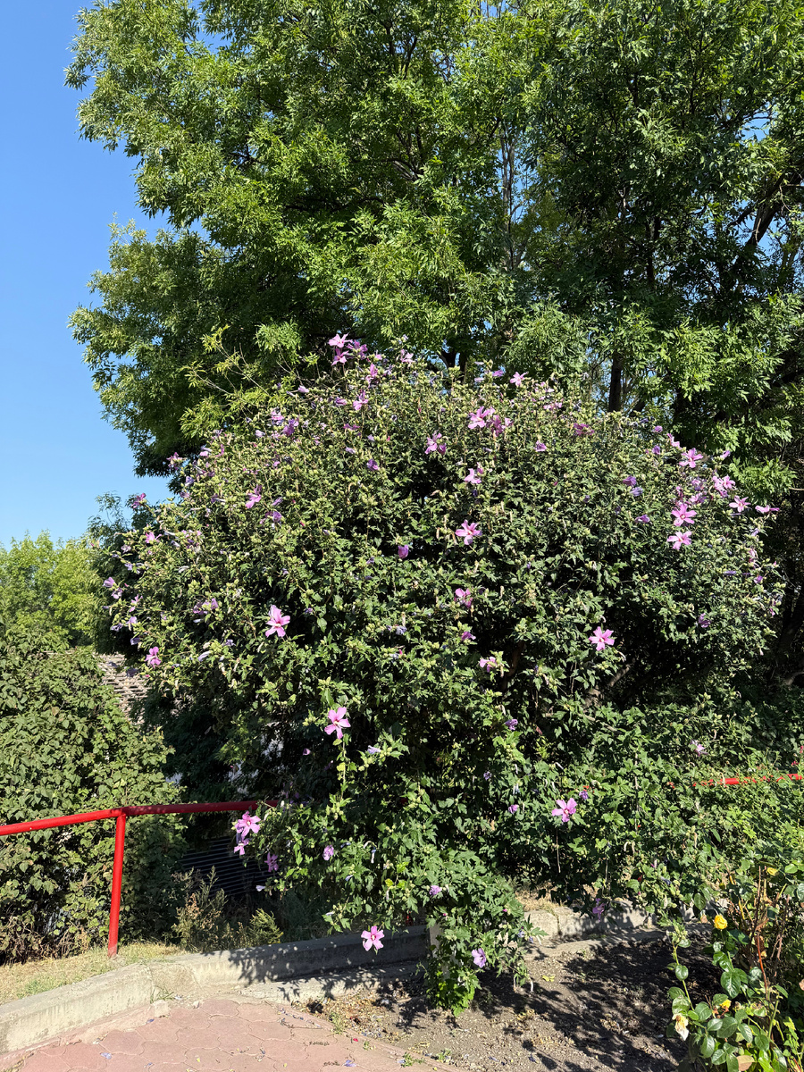 Погода 1 сентября летняя