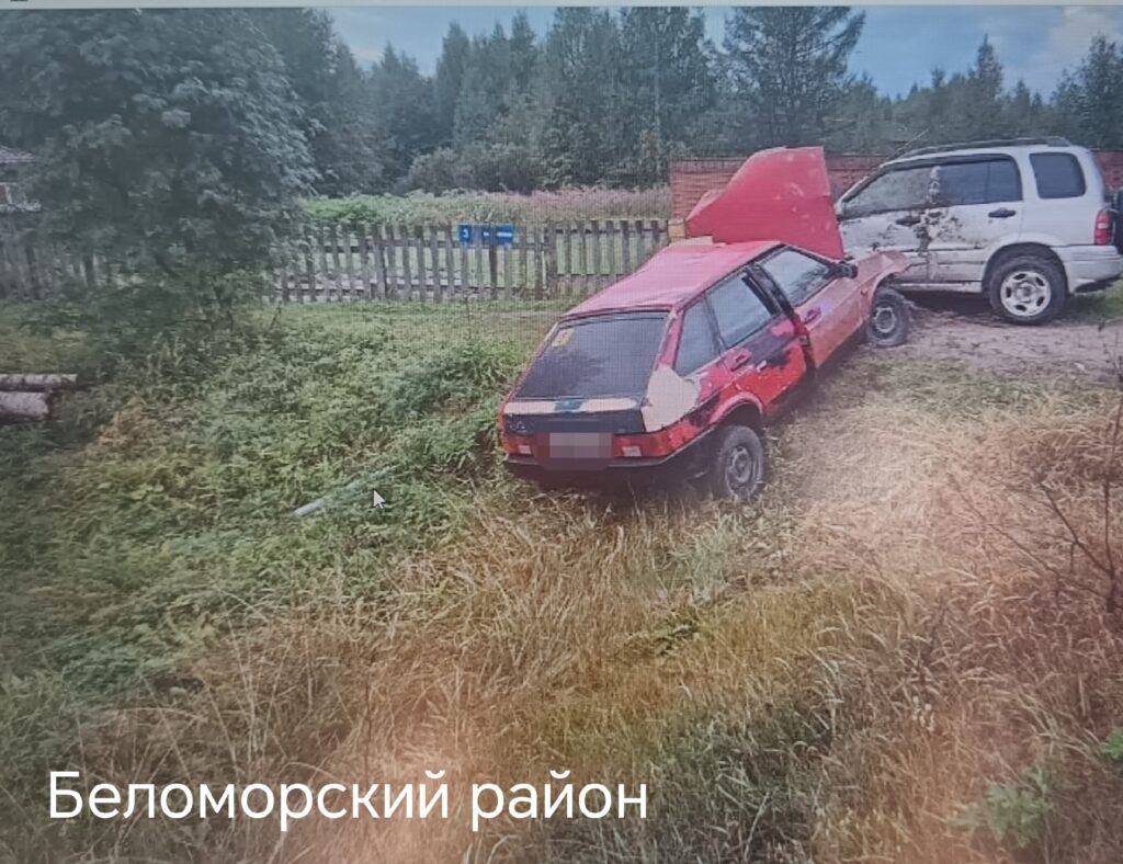    Фото: Госавтоинспекция Петрозаводска / ВК