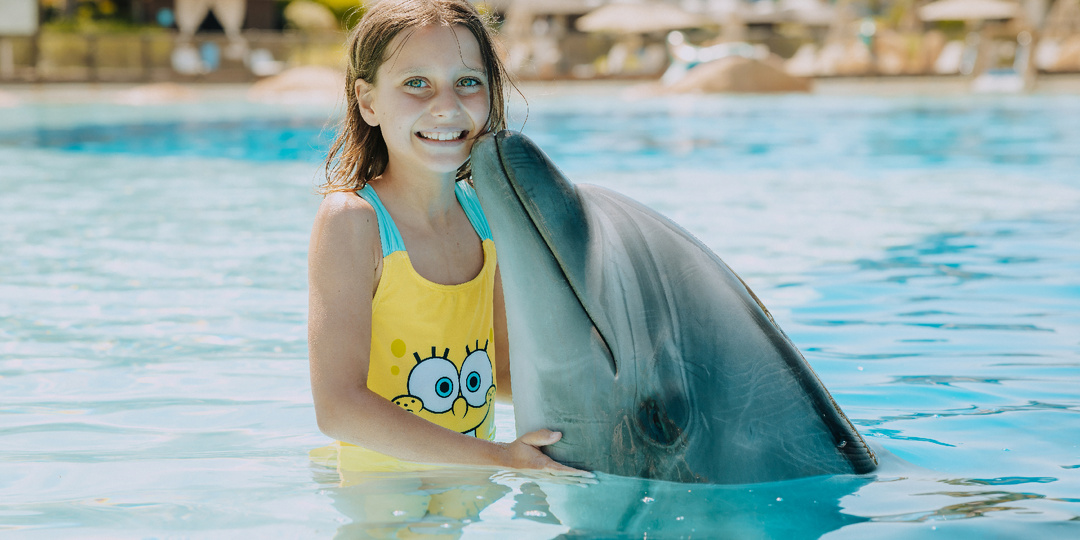 Шоу с дельфинами и подводные приключения в The Land of Legends