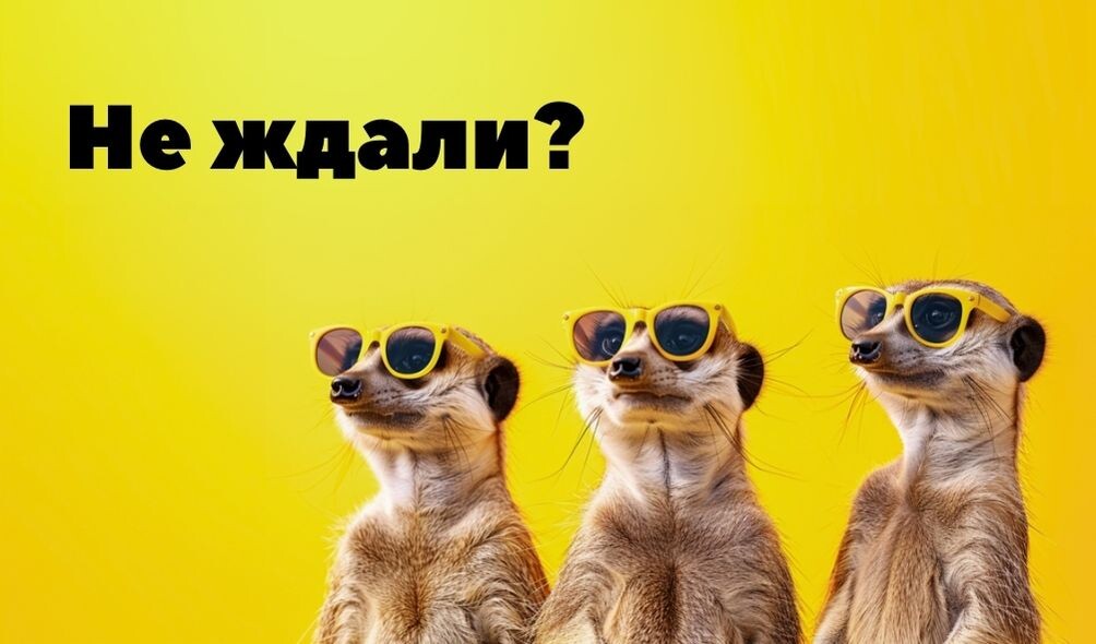 картинка для привлечения внимания)