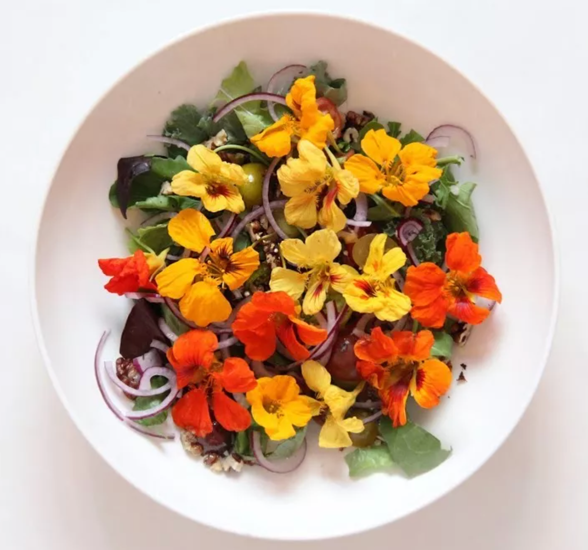 Микронастурция — цветок