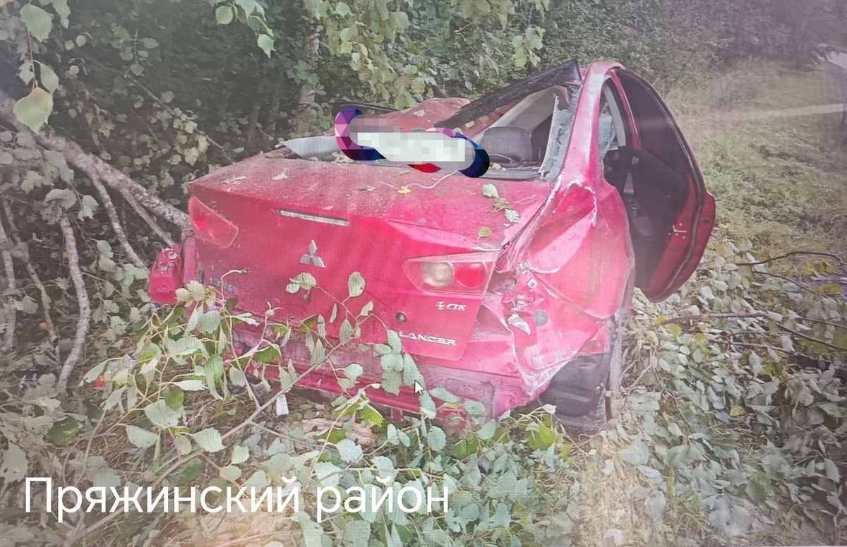    Фото: Госавтоинспекция Карелии