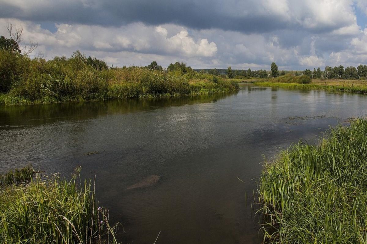    Фото: Олег Каргаполов, источник: vecherka.su