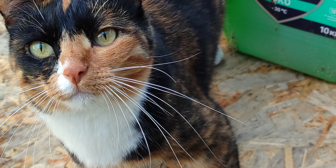 Антифриз при отоплении загородного дома