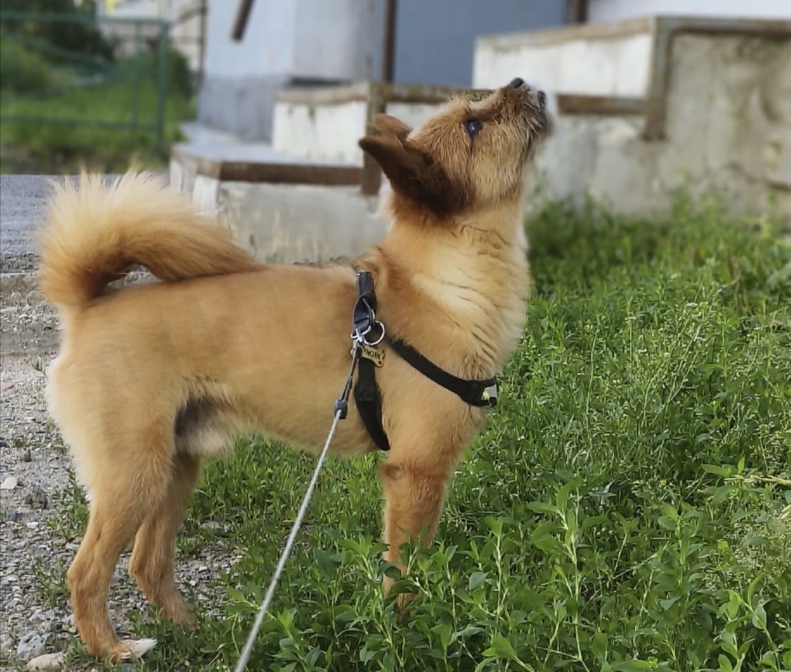 Всегда стремитесь к новым достижениям!