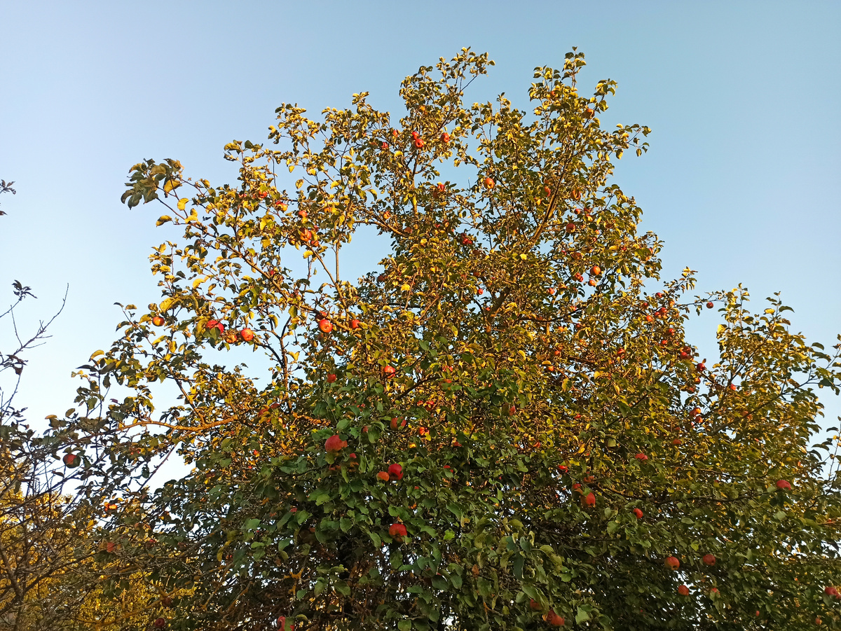 Фото автора. 