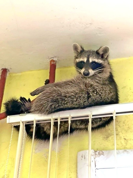 Фото: «Друг для друга»