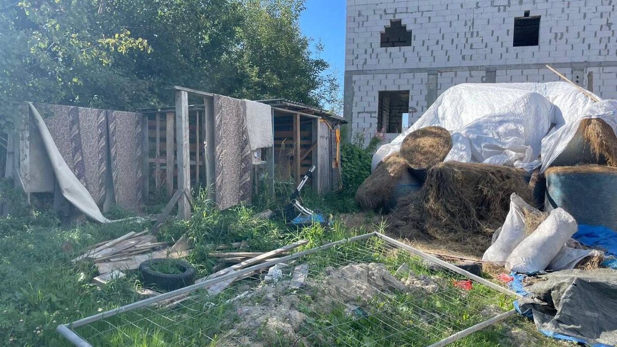 © Прокуратура Петербурга в Telegram