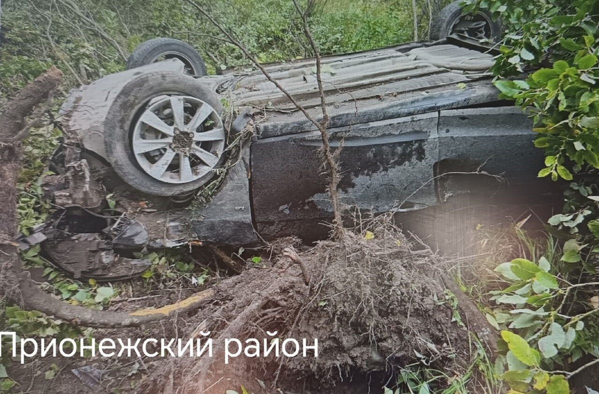    Фото: Госавтоинспекция Петрозаводска / ВК