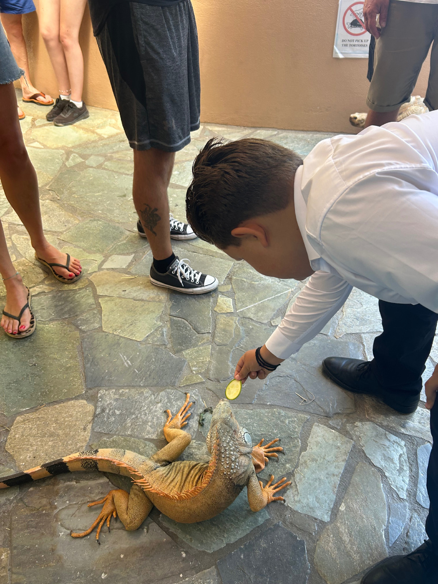 Ходили в аквариум смотреть на рыб и кормить ящерок (фото автора)