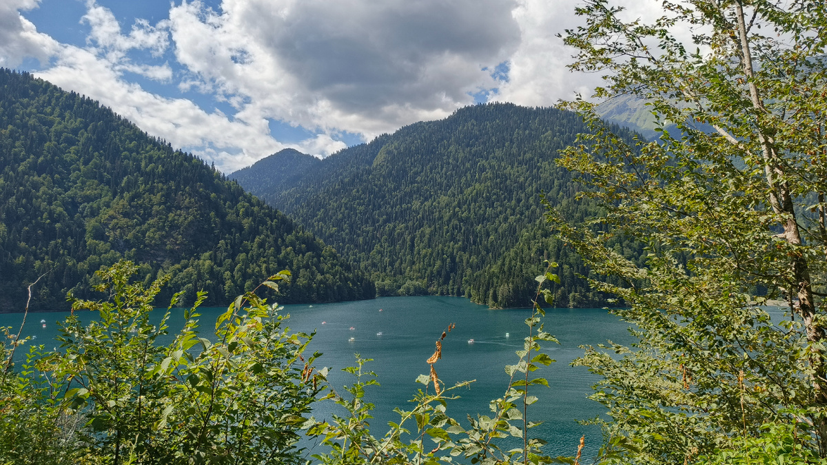 Вид на озеро Рица по дороге от берега, где раньше располагалась госдача №11 к самой туристической части возле озера. Август 2025. Фото автора.