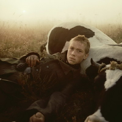     «Любовь и голуби», «Иди и смотри» и «Тихий Дон» включены в список фильмов для изучения в школе