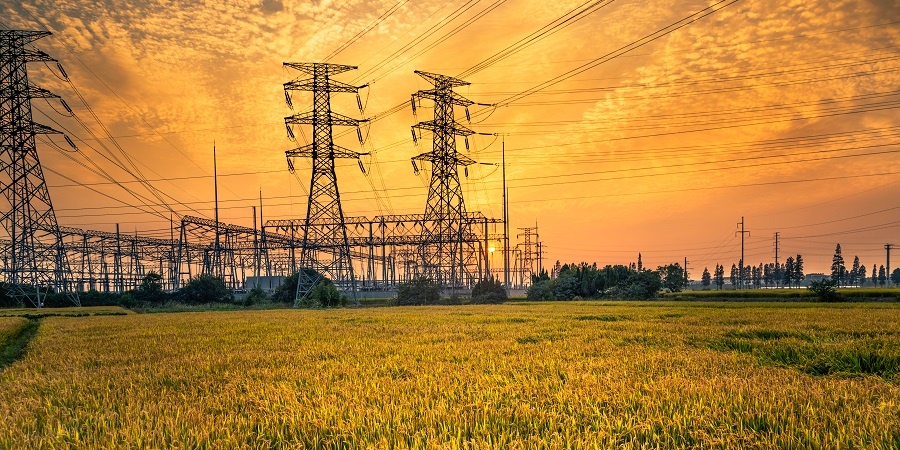 Источник: © fanjianhua / Фотобанк Фотодженика