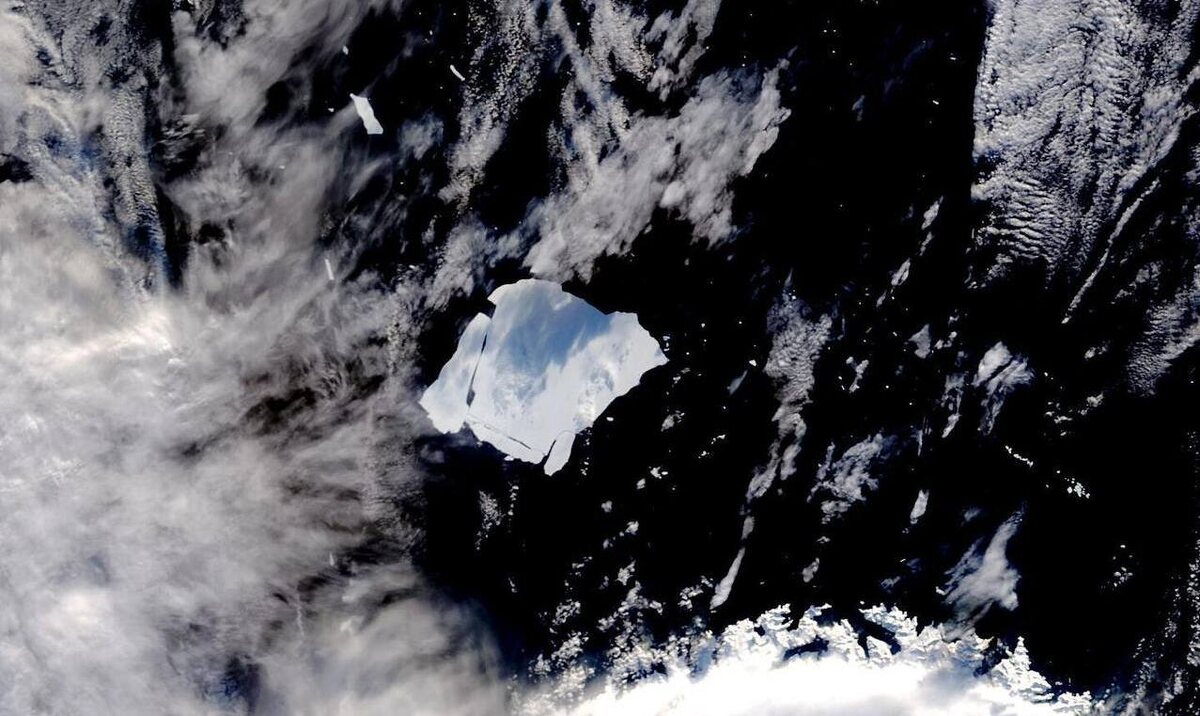 © Telegram/ ААНИИ/ Вадим Махоров