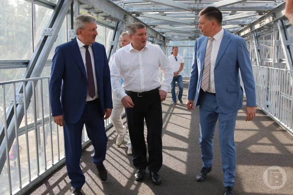    Фото: Матвей Горбунов / "Городские вести"