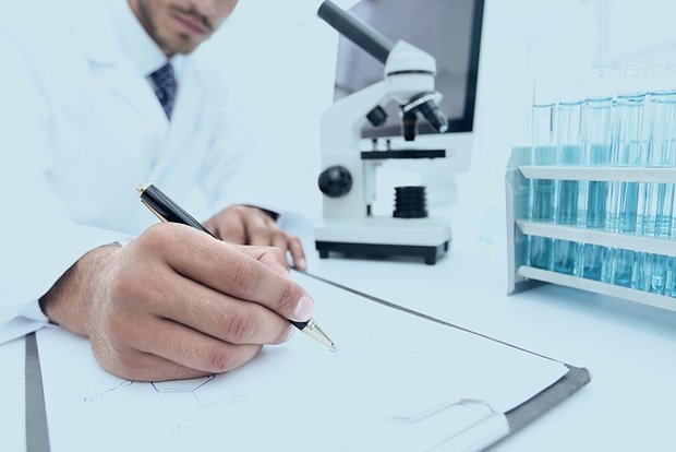    Фото: ASDF_MEDIA / Shutterstock / Fotodom