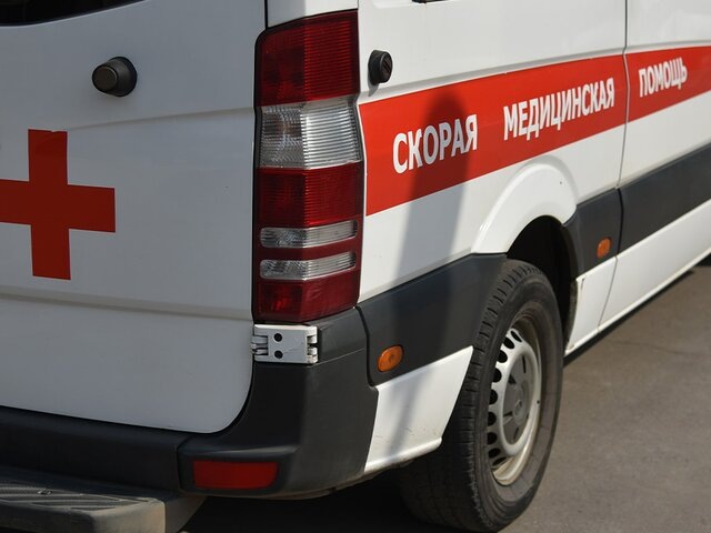    Фото: Москва 24/Антон Великжанин