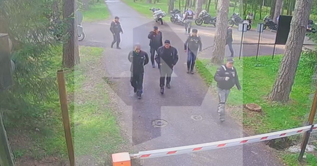 Фото из открытых источников