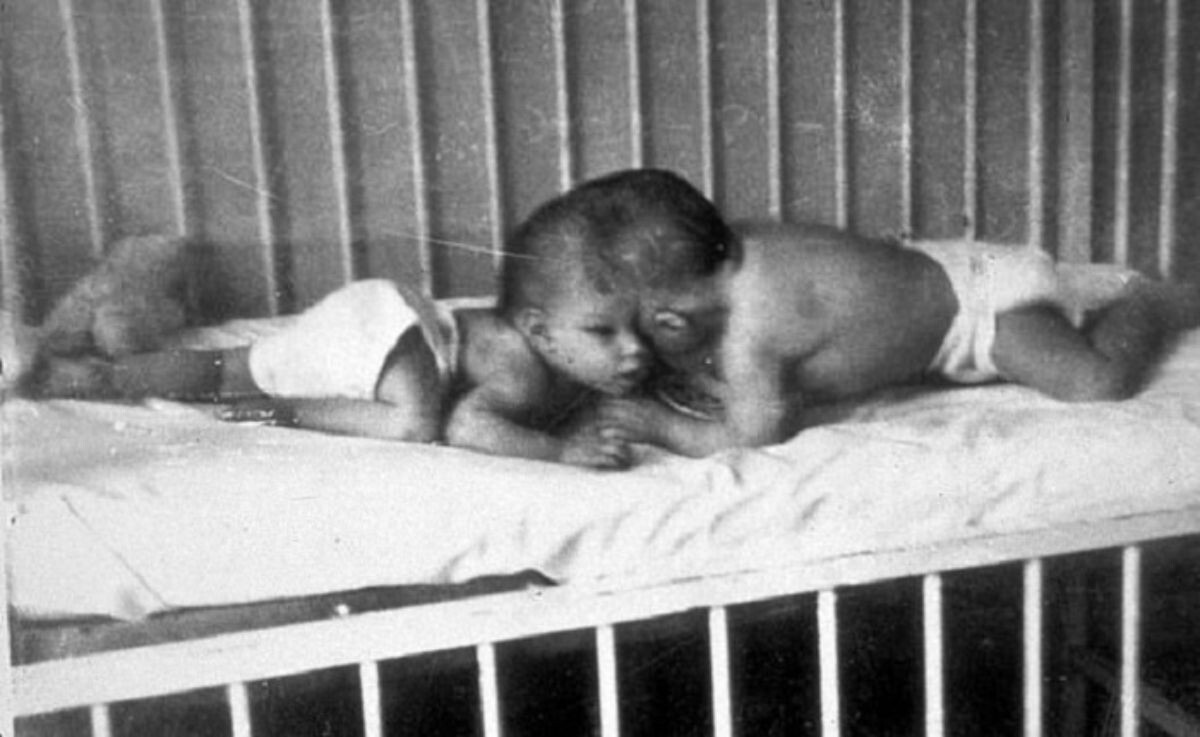 Детское фото