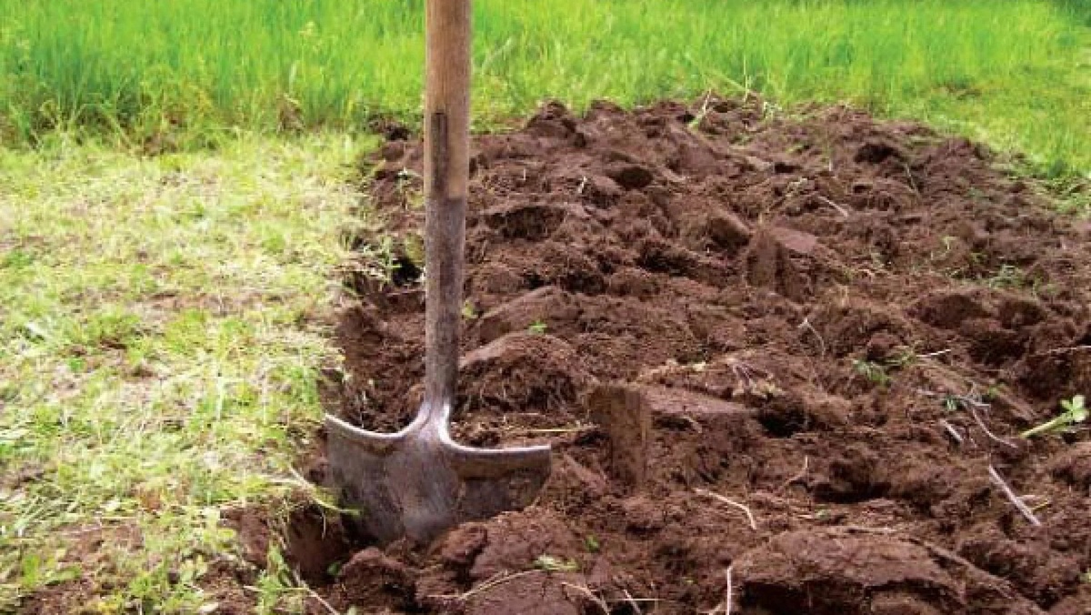 Осенняя перекопка участка