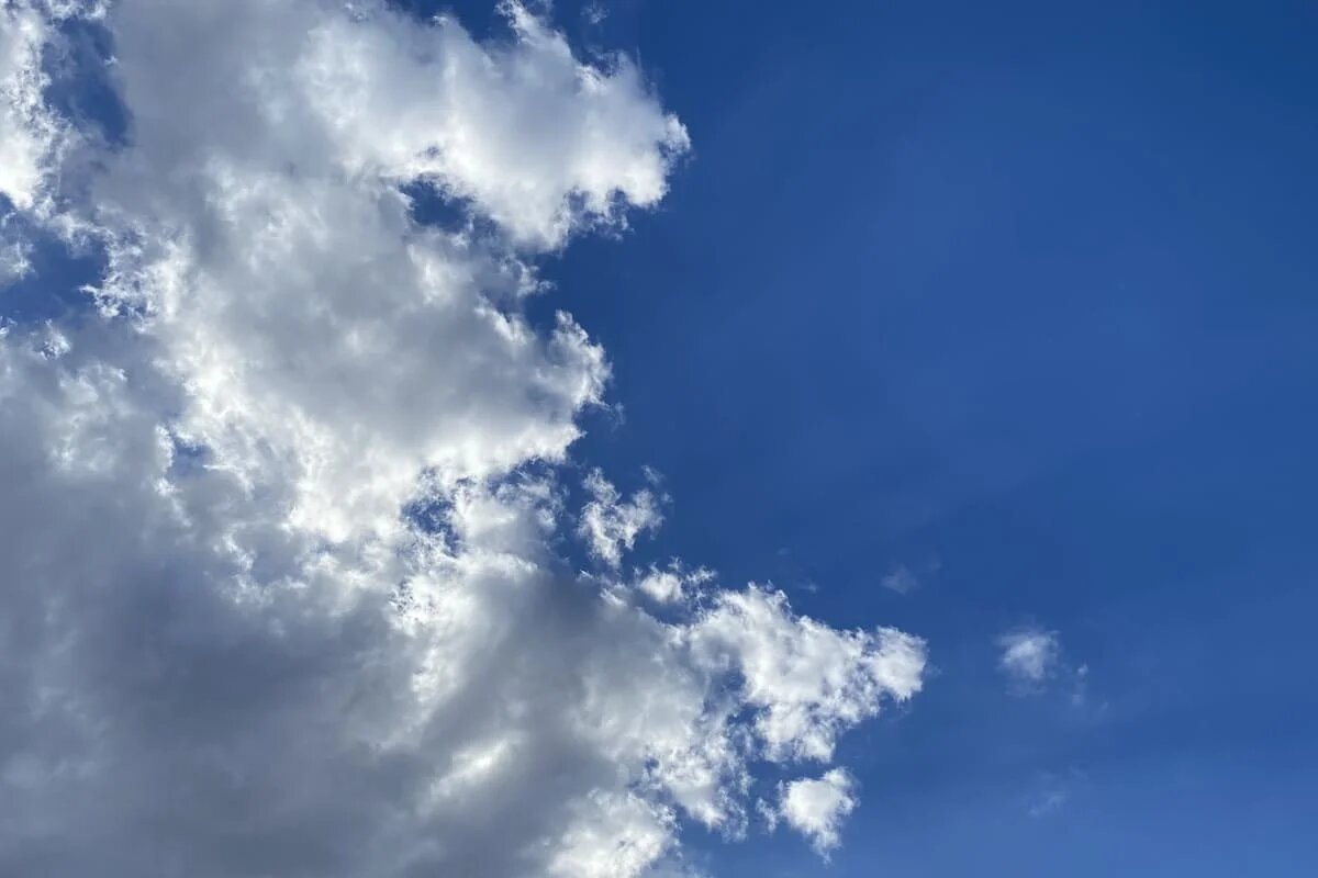 Фото: UfacityNews.ru