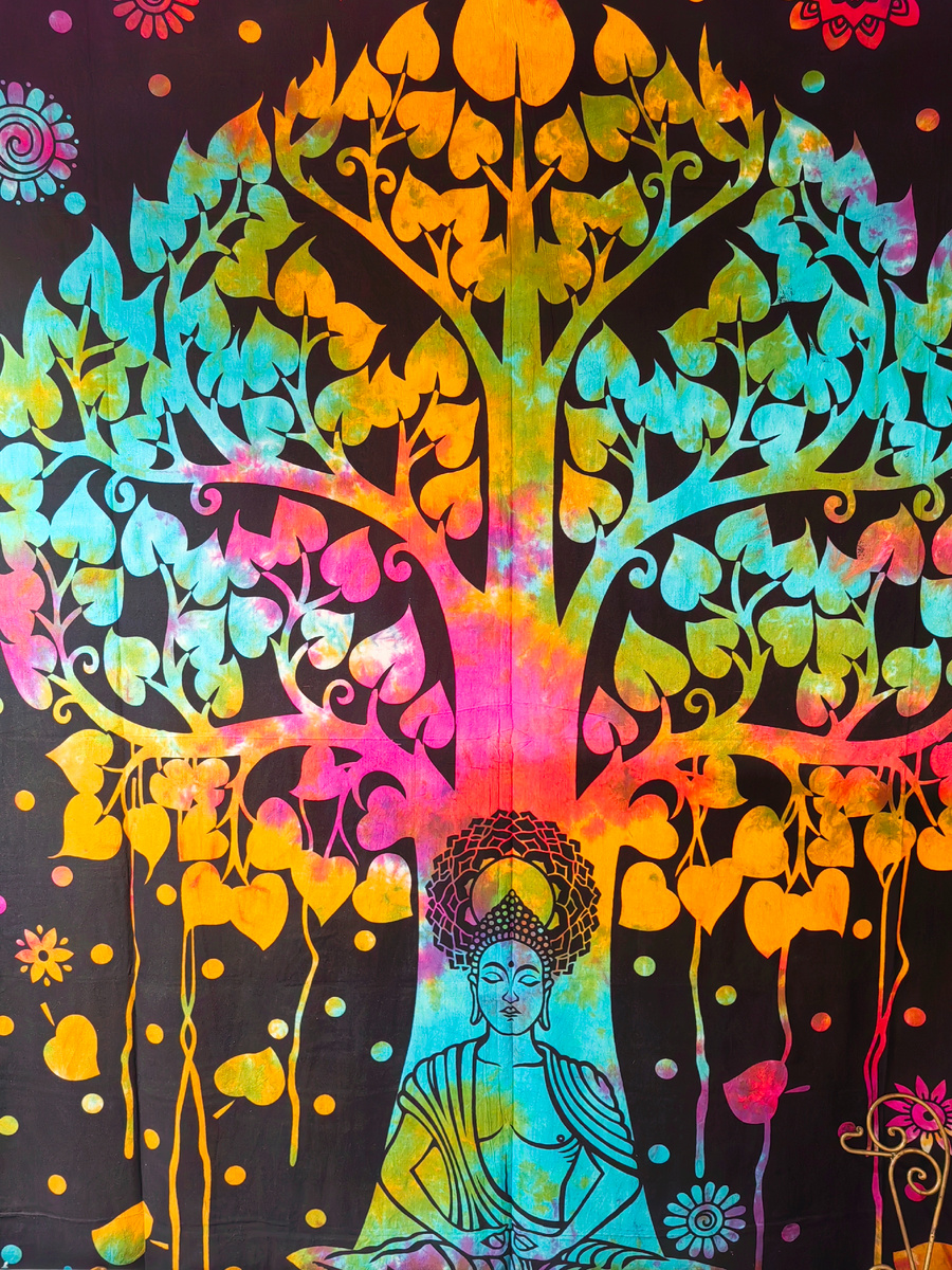 Все фото к статье мои.