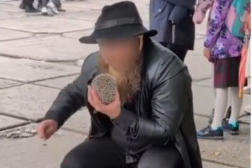    Фото: скриншот видео "Сообщество Академгородка" \ Telegram