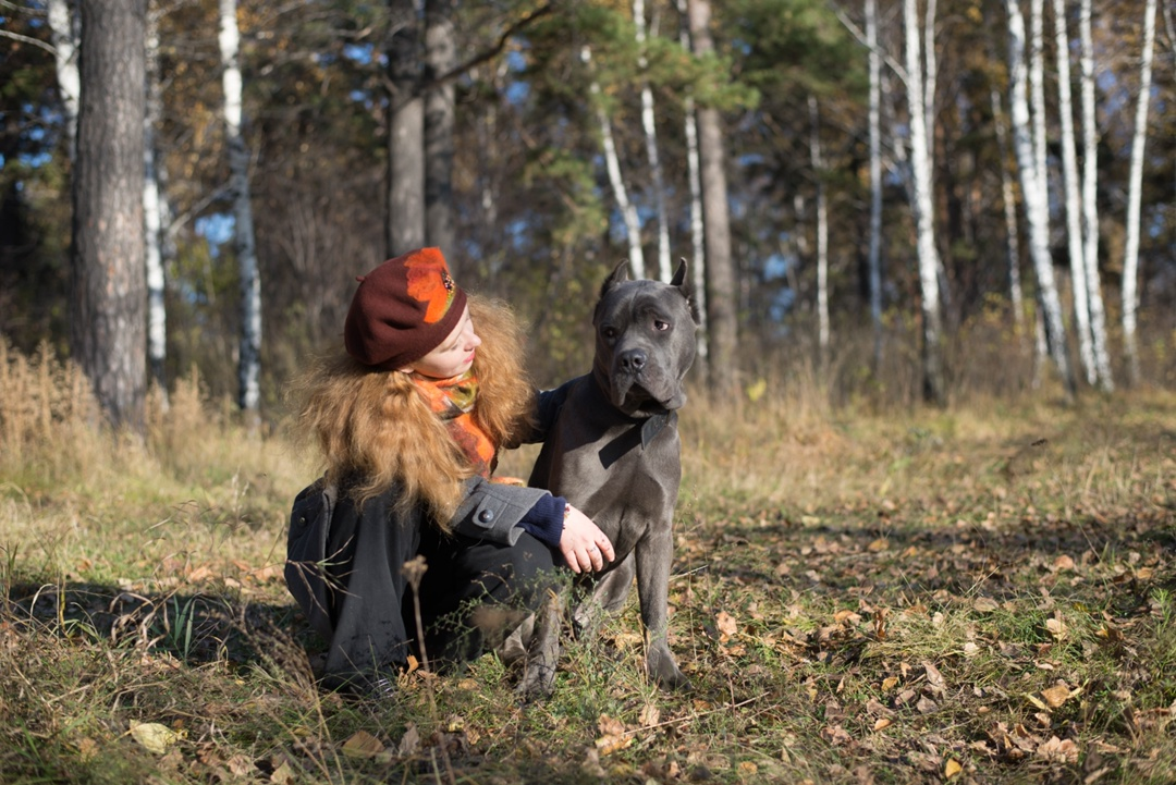 осень 2017 год