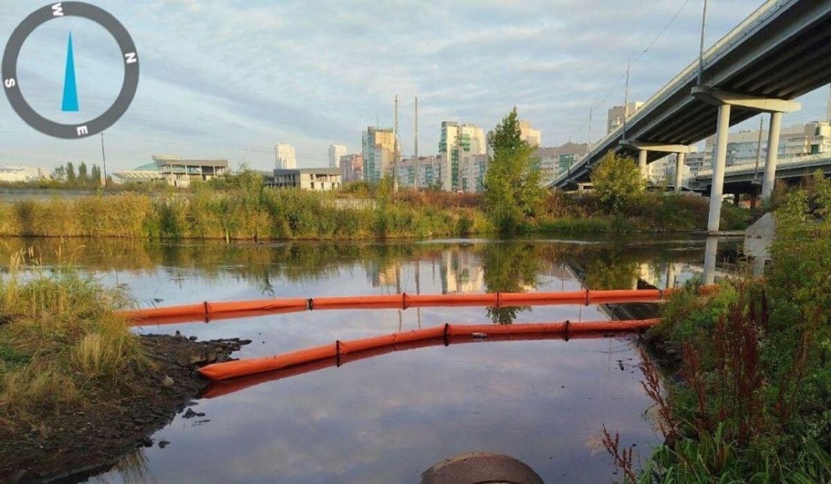     Река Миасс. Источник: www.1obl.ru Автор фото: Минэкологии ЧО