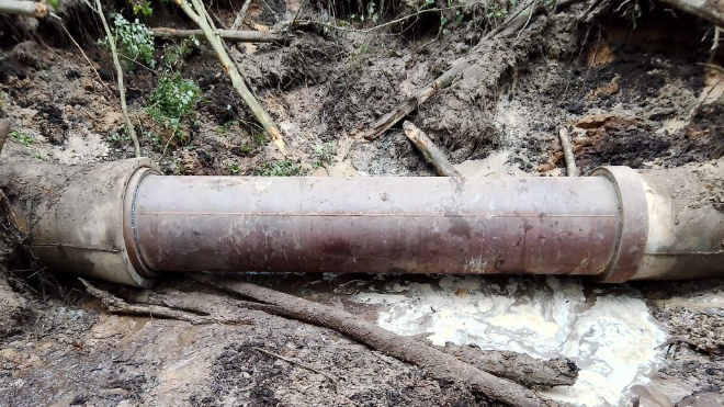 Фото: комитет по ЖКХ Ленобласти