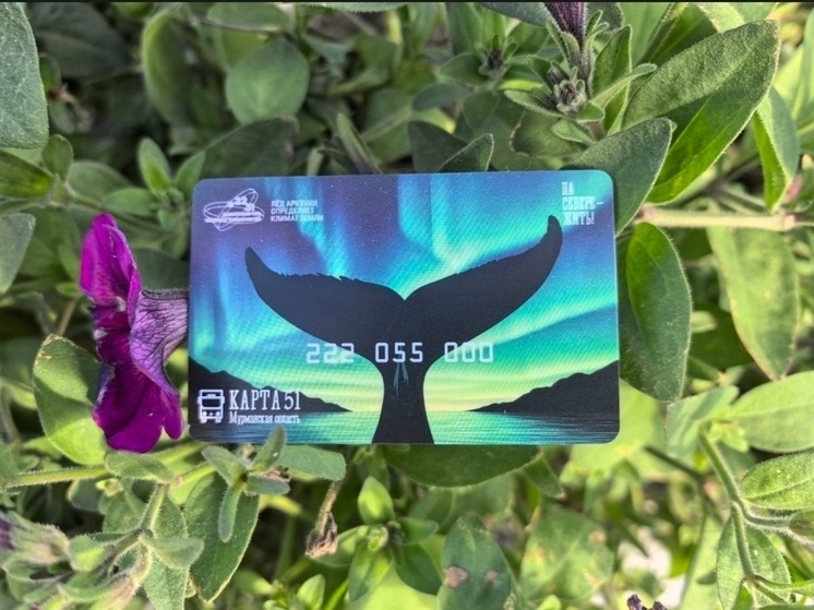     Переосмысление визуального облика карты символизирует интеграцию технологий и природы». Фото: пресс-служба Правительства Мурманской области.