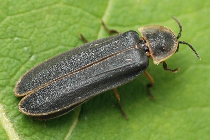 Фотография взята из открытых источников