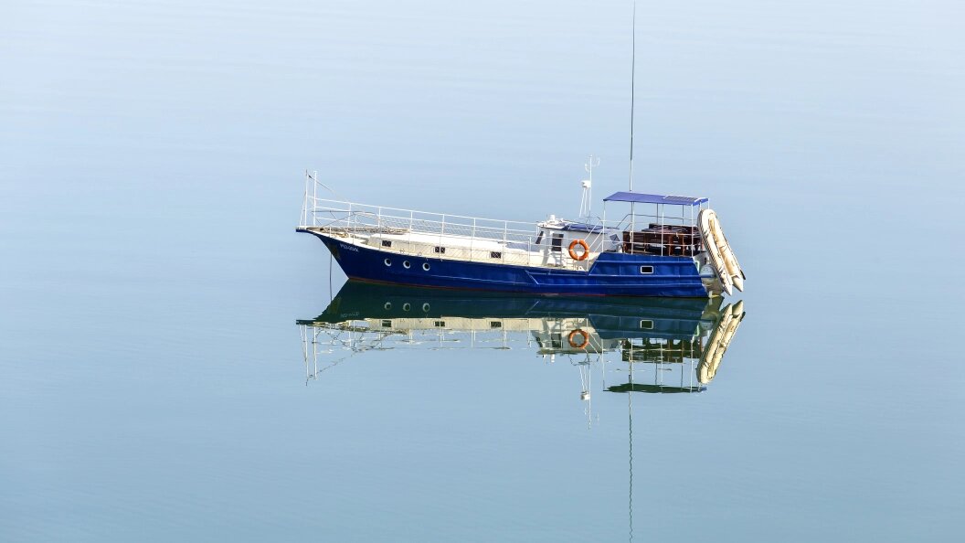    Фото: Aleksey Smyshlyaev/Globallookpress