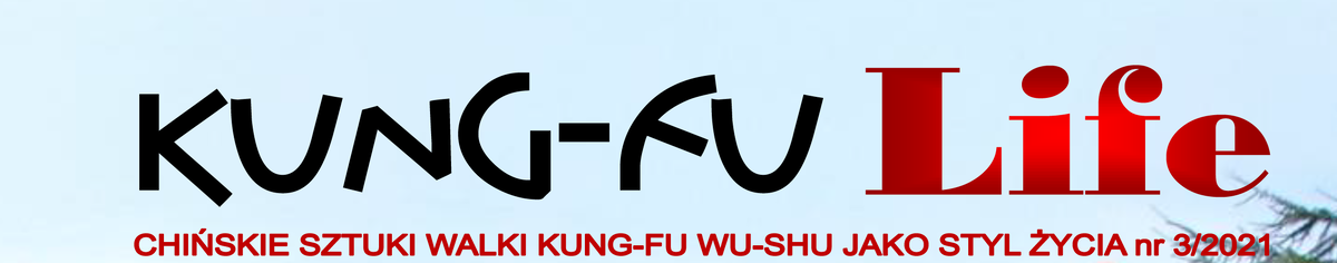 Часть обложки журнала